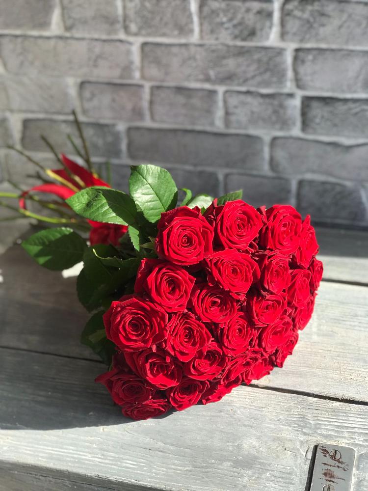Букет Красные розы Фридом в Филиппенково
