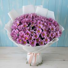 Букет цветов из:  Хризантемы в Филиппенково