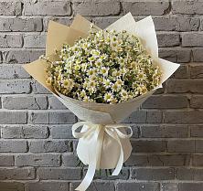Букет цветов из:  Ромашки в Филиппенково