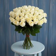 Букет 51 Белая роза Эдлесс Лав #REPLACE_PRED# Филиппенково