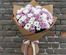 Букет цветов из:  Хризантемы #REPLACE_PRED# Филиппенково