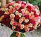 Букет 101 Разноцветная роза в Филиппенково