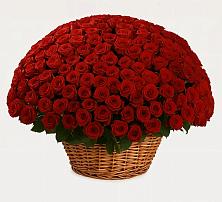 Премиум букет из: Розы в Филиппенково